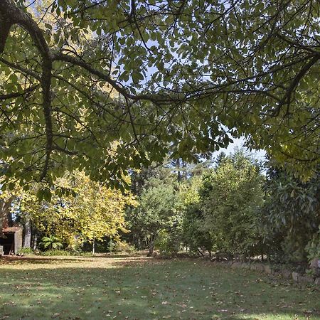 Bed and Breakfast Secrets Hideaway Blackheath Exterior foto