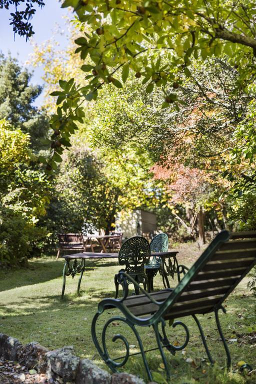 Bed and Breakfast Secrets Hideaway Blackheath Exterior foto