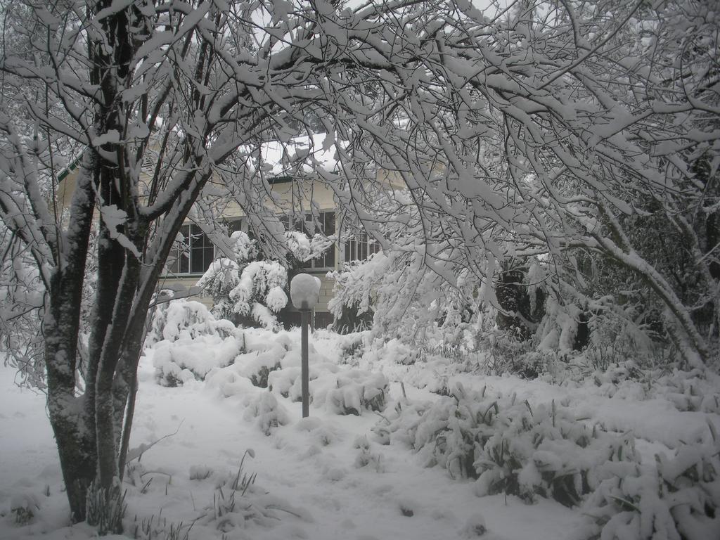 Bed and Breakfast Secrets Hideaway Blackheath Exterior foto
