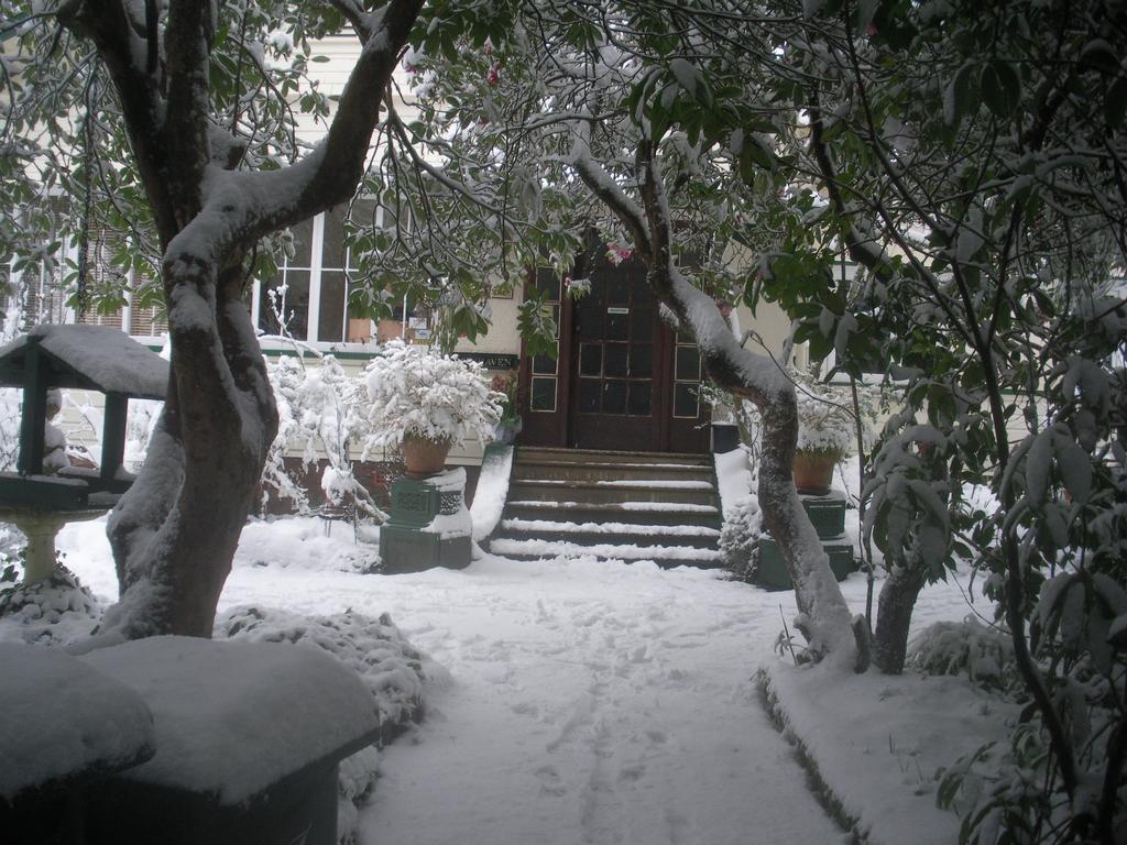 Bed and Breakfast Secrets Hideaway Blackheath Exterior foto