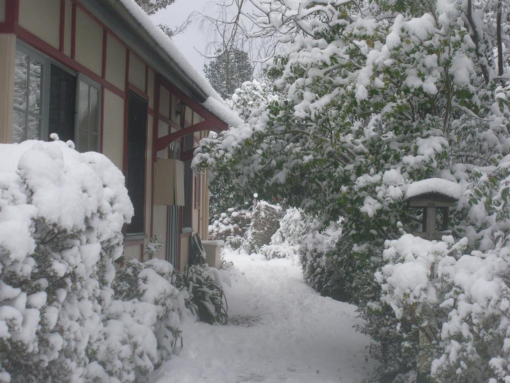 Bed and Breakfast Secrets Hideaway Blackheath Exterior foto
