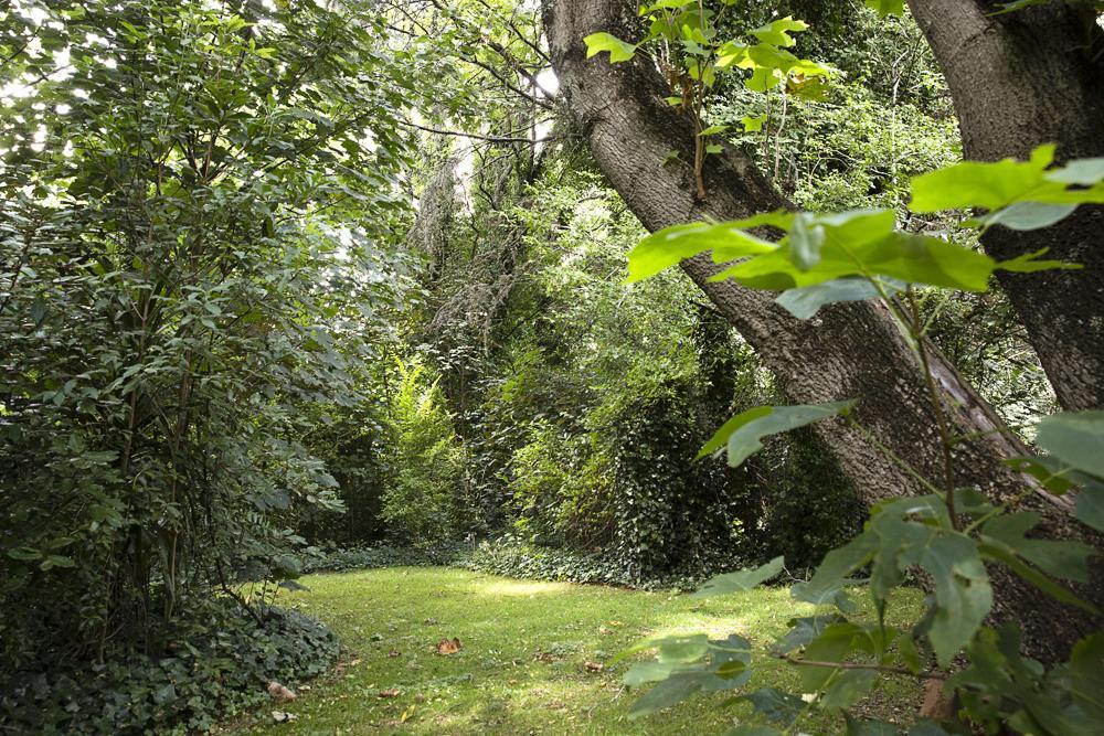 Bed and Breakfast Secrets Hideaway Blackheath Exterior foto