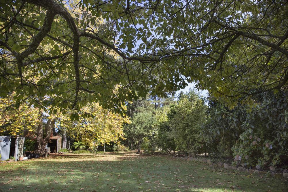Bed and Breakfast Secrets Hideaway Blackheath Exterior foto